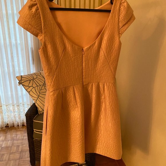 Blush pink Dress by Halston: size 6 - Picture 2 of 3